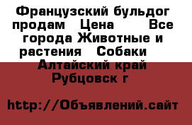 Французский бульдог продам › Цена ­ 1 - Все города Животные и растения » Собаки   . Алтайский край,Рубцовск г.